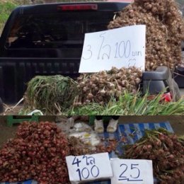 กิจกรรมในการส่งเสริมการดำเนินกิจกรรมของตลาด การจัดให้มีป้ายแสดงราคาสินค้า