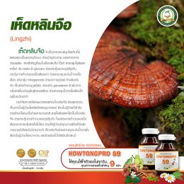 ผลิตภัณฑ์เสริมอาหารสารสกัดจาก "พลูคาว"  Kowtongpro 59 ( คาวตองโปร 59) ให้คุณพร้อมเริ่มต้นสุขภาพดี  สารสกัดจากสมุนไพรแท้ 100% “ให้คุณใส่ใจตัวเองในทุกวัน” 
