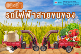 แนะนำรถไฟฟ้าสายขนของ