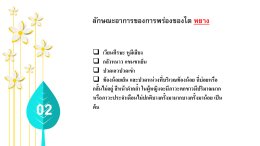 อ่อนเยาว์สดใส หลังวัยเกษียณ