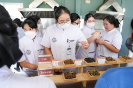 คลินิกการแพทย์แผนจีนหัวเฉียว ต้อนรับคณะอาจารย์และนักศึกษาหลักสูตรแพทย์แผนไทยประยุกต์ มหาวิทยาลัยมหิดล