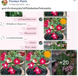 รีวิว จาก คุณโกมล ครับ