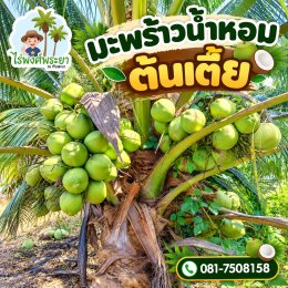 coconut-small2