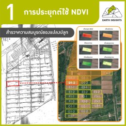 NDVI คืออะไร สามารถนำมาประยุกต์ใช้กับการเกษตรได้อย่างไร ? 