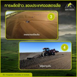 ปลูกข้าวอย่างไรให้มีรสชาติอร่อยและได้จำนวนมาก ?