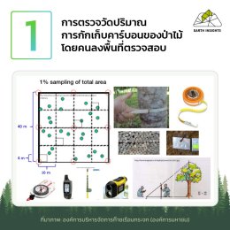 การวัดค่าของการกักเก็บคาร์บอน ทำอย่างไร เราจะนำปริมาณคาร์บอนไปขายได้เท่าไหร่บ้าง ?