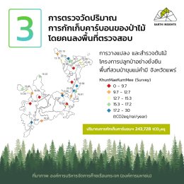 การวัดค่าของการกักเก็บคาร์บอน ทำอย่างไร เราจะนำปริมาณคาร์บอนไปขายได้เท่าไหร่บ้าง ?