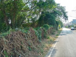 EHL - 212936 ขายที่ดิน 390 ตร.ว พื้นที่สวยเขตอำเภอเมืองพิษณุโลก