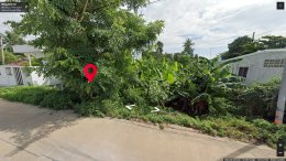 EHL-223562 ที่ดินเปล่า วังจันทร์ จังหวัดพิษณุโลก