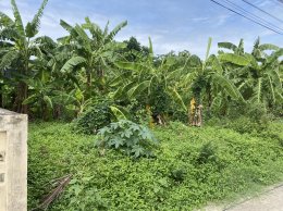 EHl-233692 ที่ดิน เพิ่มสิน 37(Permsin Land 37)
