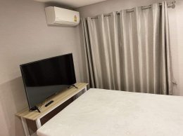 EHl-233804 ให้เช่าห้อง คอนโดลุมพินีวิลล์ สุขุมวิท76 