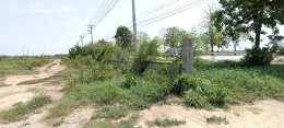 EHL-233913 ด่วนขายที่ดินถมแล้วจำนวน 61-0-58ไร่