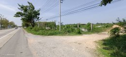 EHL-233913 ด่วนขายที่ดินถมแล้วจำนวน 61-0-58ไร่