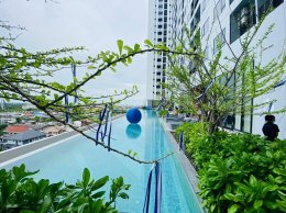 EHL-233943 ขายและให้เช่า The livin เพชรเกษม