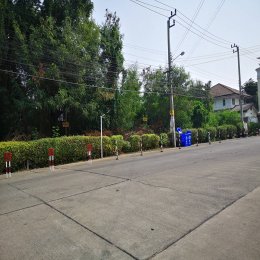 ที่ดินหน้าหมู่บ้านศุภาลัย ขนาด 1 ไร่ ID - 202663