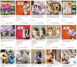 แจ้งข่าว ร้านบน Shopee