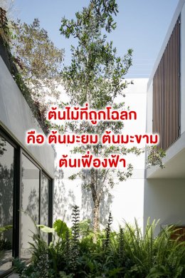 เปิดวาร์ป..ฮวงจุ้ย 12 ราศีเกิดตามเจ้าของบ้าน