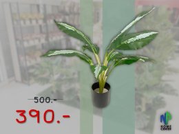 MAGA SALE2