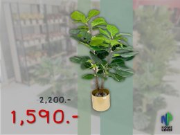 MAGA SALE2
