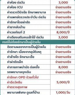 ประกันสุขภาพ เหมาจ่าย 1 ล้าน จ่ายตามจริง