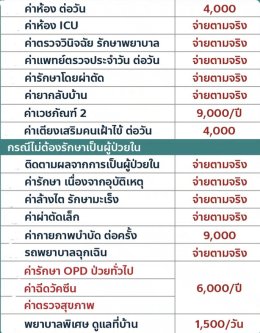 ประกันสุขภาพ เหมาจ่าย 2 ล้าน จ่ายตามจริง