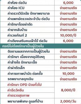 ประกันสุขภาพ เหมาจ่าย 3 ล้าน จ่ายตามจริง