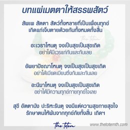 แนะนำ บทสวดมนต์ก่อนนอน ท่องทุกคืน ใจสงบ หลับฝันดี ไม่มีเรื่องติดค้าง