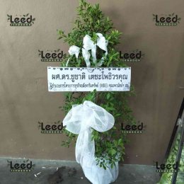 พวงหรีดวัดบัวโรย ตำบลบางเสาธง