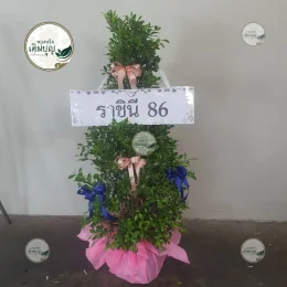 พวงหรีดต้นไม้เพื่อรักษ์โลก มอบความร่มรื่น ส่งตรงถึงหน้าศาลาวัดดอนเจดีย์ สุพรรณบุรี