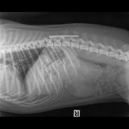 น องกอหญ าโดนฉมวกย งทะล ต ว Ivethospital น องกอหญ าโดนฉมวกย งทะล ต ว Ivethospital