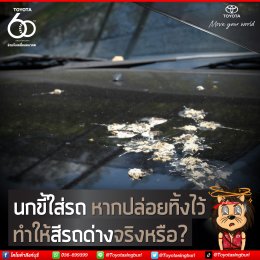 นกขี้ใส่รถ หากปล่อยทิ้งไว้ ทำให้สีรถด่างจริงหรือ?