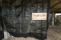 โรงเรียน บ้านป่าแหย่ง จ. เชียงราย จำนวน 31 ทุน