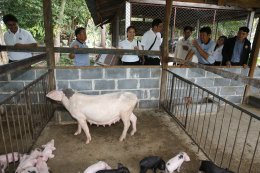 โรงเรียนบ้านดอนยู จ.อุบลราชธานี จำนวน 61 ทุน