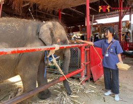 ทัศนศึกษาจังหวัดพระนครศรีอยุธยา