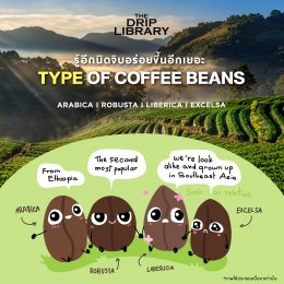 ชนิดของเมล็ดกาแฟมีมากกว่า Arabica และ Robusta นะ