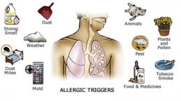 ปลอดภัยจากโรคภูมิแพ้ (Allergy) 