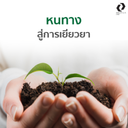 คุณคิดว่าสิ่งแวดล้อม ส่งผลกระทบกับเรายังไง?