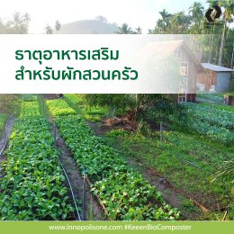 แนะ 4 เทคนิค เปลี่ยนขยะสดให้เป็นประโยชน์ได้