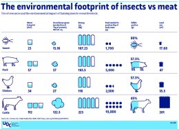 Most people see insects as an alternative and sustainable source of food for the future.