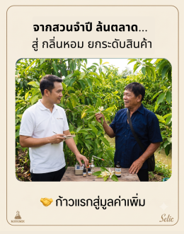 จากสวนจำปีล้นตลาด สู่ Room Spray ชุมชน: เบื้องหลังการ "รังสรรกลิ่นน้ำหอม" เอกลักษณ์ไทย โดย kcosmex x Selic Corp