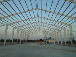CP Seed Chainat