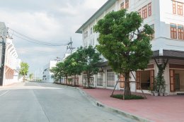 STREET & PLAN ถนนภายในสตูดิโอ+แปลน