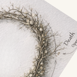 งานจัดดอกไม้ The Unfinished Cycle โดย Lefloriste วงกลมดอกไม้สีขาวที่ค่อย ๆ เปลี่ยนจากดอกไม้สดไปเป็นกิ่งไม้แห้ง สื่อถึงวงจรชีวิต