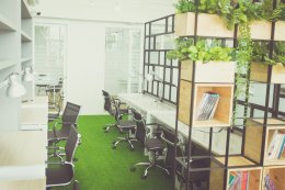 Coworking Space & Meeting room