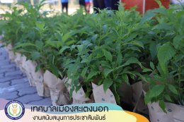 กิจกรรมปลูกต้นไม้ตามโครงการส่งเสริมการปลูกต้นไม้