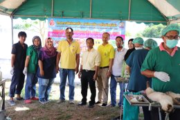 รณรงค์ฉีดวัคซีนป้องกันโรคพิษสุนัขบ้า 62