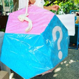 Pi[ck]nata Piñatas III