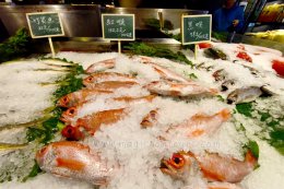 เที่ยวไต้หวันอิสระด้วยตัวเอง ไต้หวันออนทัวร์ ตอน 28 @ ไปกินอาหารทะเลสด ที่ตลาดปลาไทเป