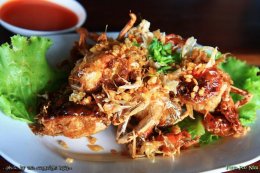 ร้านอาหารเด็ดๆในจ.สมุทรสาคร 