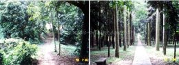 มณฑลหนานโถว (Nantou Country)